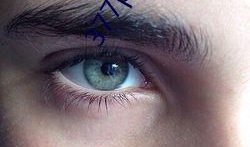 成人同房视频,同房视频背后的故事与启示